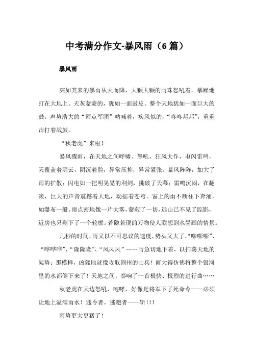 中考满分作文-暴风雨(6篇)