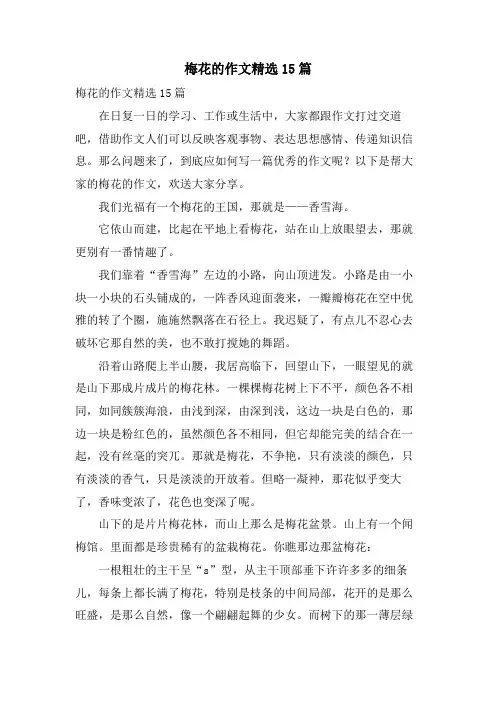 梅花的作文15篇