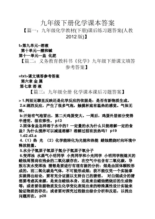 九年级下册化学课本答案