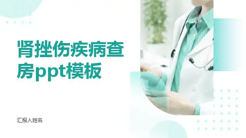 肾挫伤疾病查房ppt模板