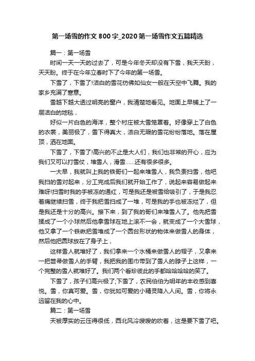 第一场雪的作文800字_2020第一场雪作文五篇精选