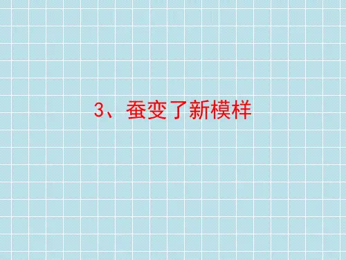 三年级下册科学课件-2.3蚕变了新模样_教科版(三起)(共11张PPT)