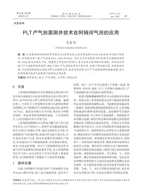 PLT产气剖面测井技术在阿姆河气田的应用