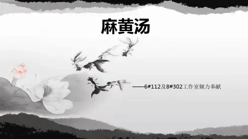 推荐-精品课件麻黄汤 精品