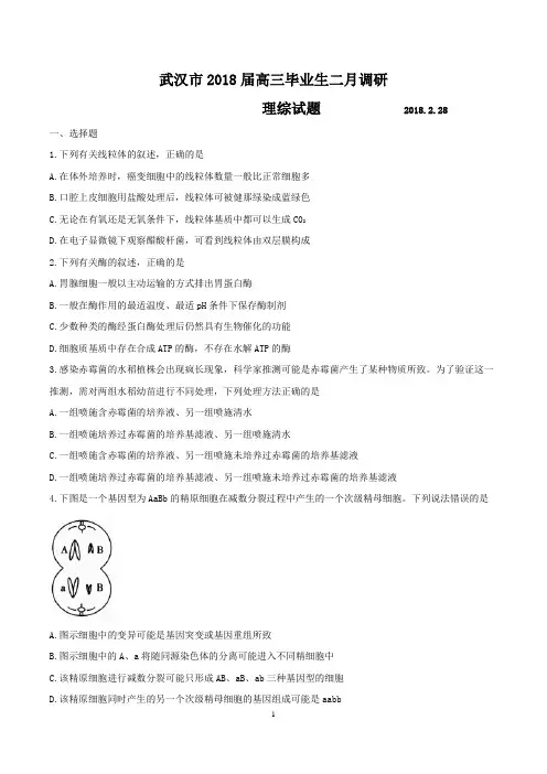 湖北省武汉市2018届高三毕业生二月调研考试理科综合试题及答案