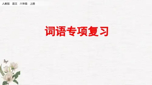 部编人教版六年级上册语文《 词语专项复习》PPT课件