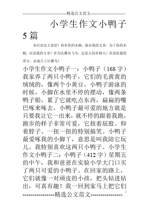 小学生作文小鸭子5篇_0