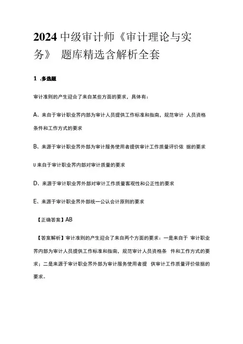 2024中级审计师《审计理论与实务》题库精选含解析全套