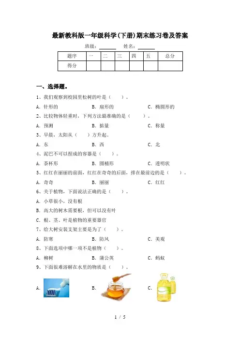 最新教科版一年级科学(下册)期末练习卷及答案
