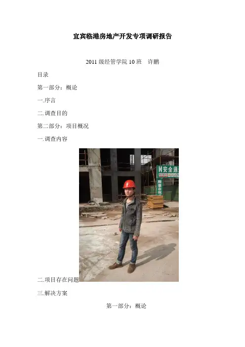 宜宾临港房地产开发专项调研报告范文