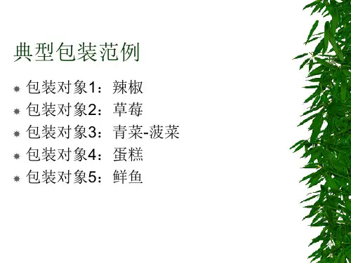 典型食品包装举例