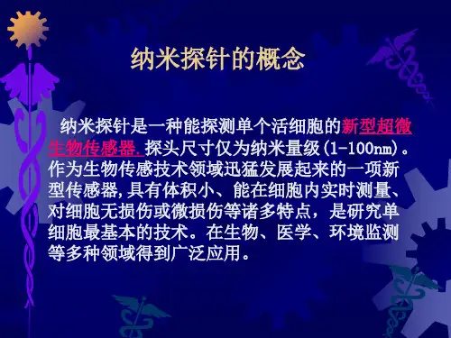 纳米探针与诊断技术