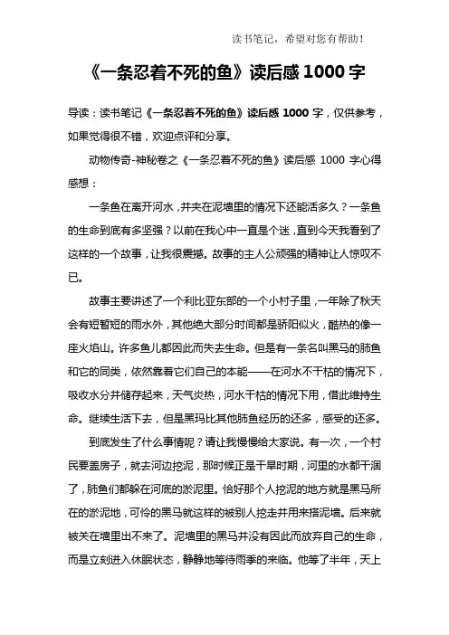 《一条忍着不死的鱼》读后感1000字