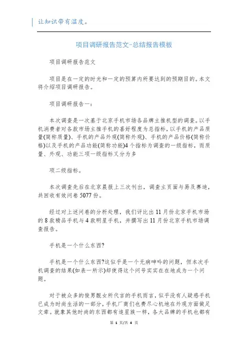 项目调研报告范文-总结报告模板