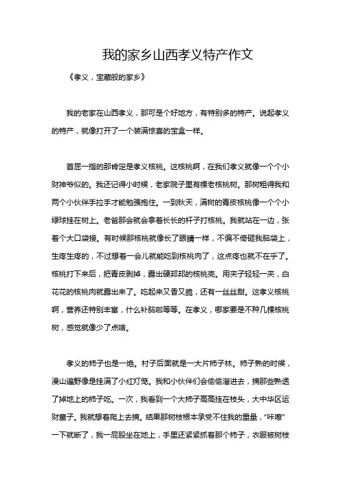 我的家乡山西孝义特产作文