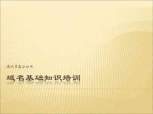 域名基础知识培训(ppt 32)