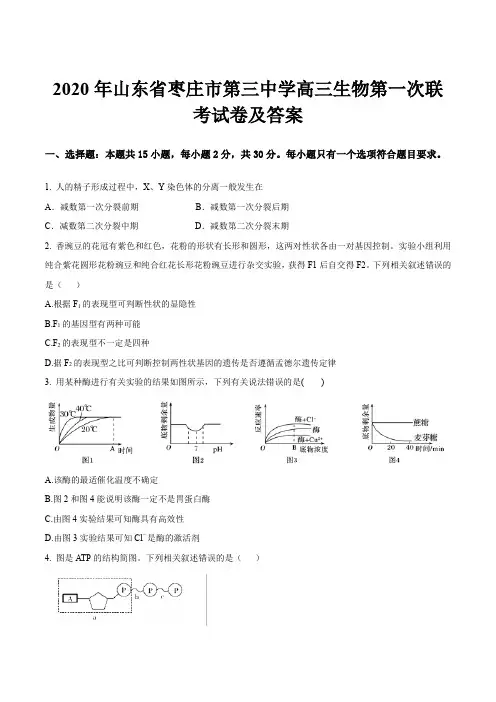 2020年山东省枣庄市第三中学高三生物第一次联考试卷及答案