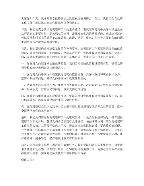 巡视巡察调研会发言稿范文