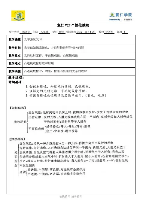 上海八年级物理 光学教案