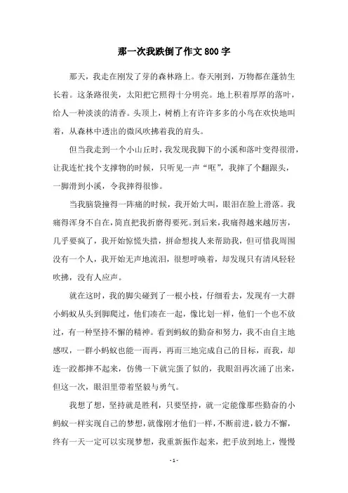 那一次我跌倒了作文800字