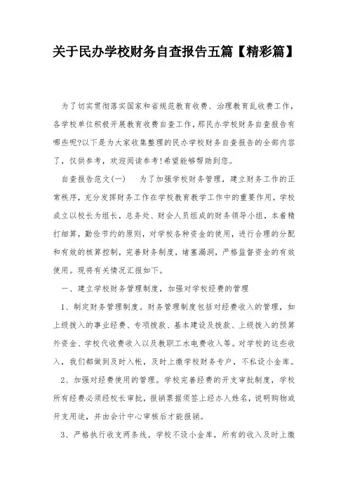 关于民办学校财务自查报告五篇【精彩篇】