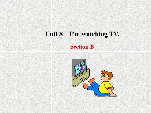 鲁教版英语六下Unit 8《I’m watching TV》(Section B)ppt课件