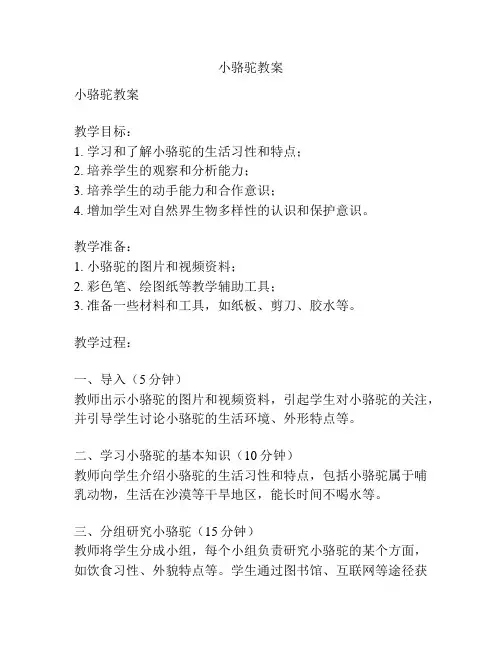 小骆驼教案