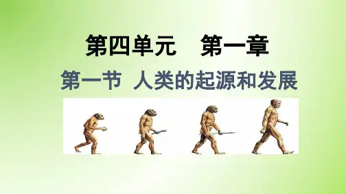 新人教版七年级生物4.1.1人类的起源和发展课件