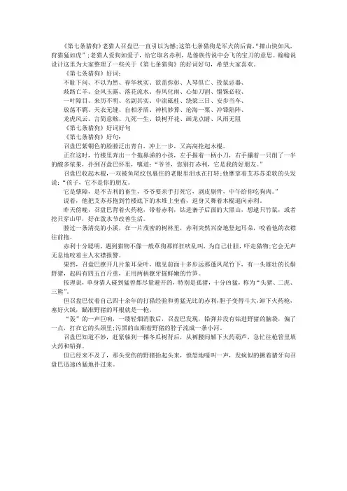 《第七条猎狗》广为流传好词好句