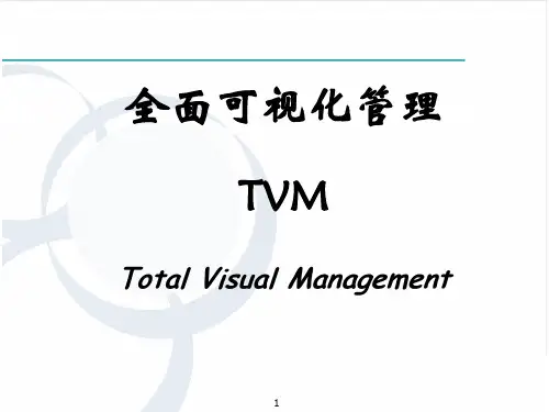 公司目视化管理手册