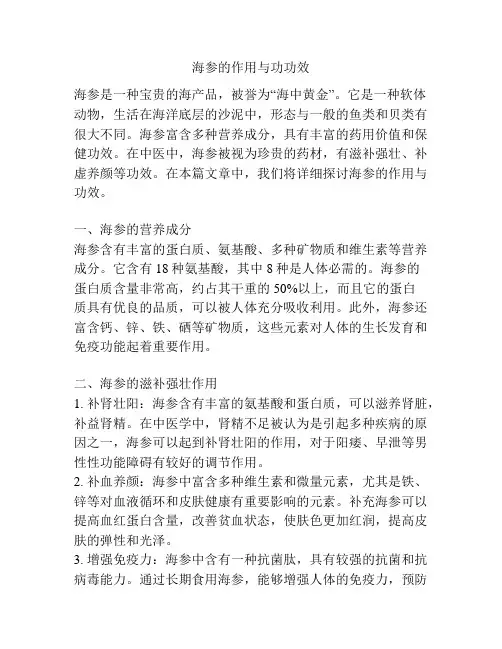 海参的作用与功功效