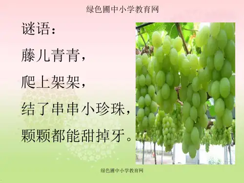 人教版语文二年级下册10《葡萄沟》精品PPT课件