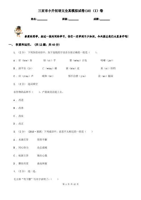 三亚市小升初语文全真模拟试卷(10)(I)卷