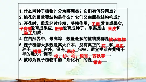 七年级生物下册11.1地面上的植物苔藓和蕨类课件新版苏科版ppt版本