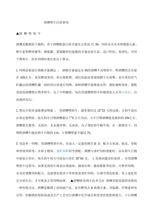 酒糟喂牛注意事项