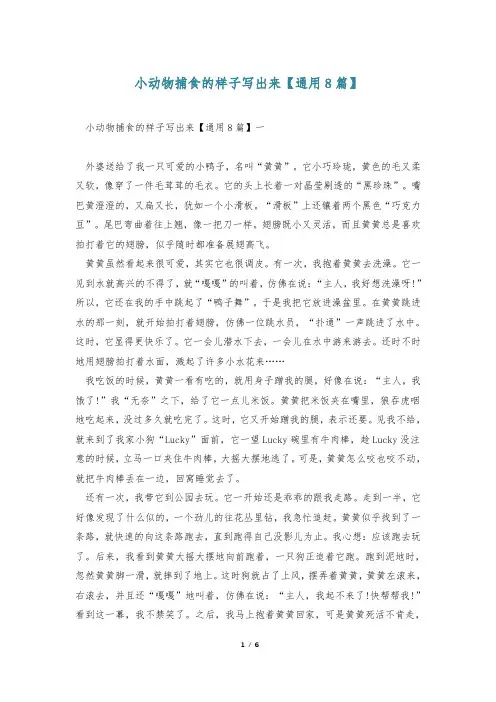 小动物捕食的样子写出来【通用8篇】