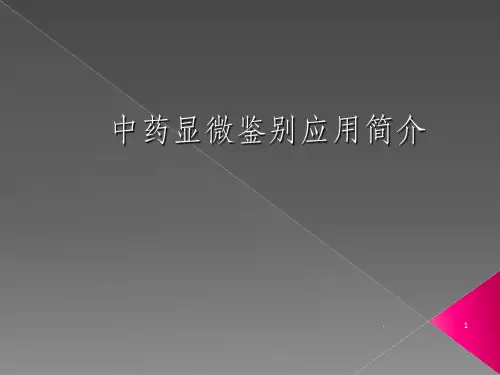 中药显微鉴别