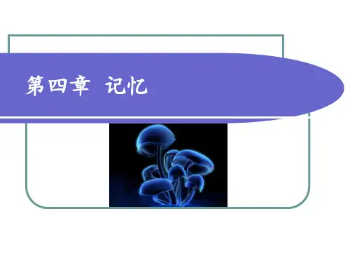 记忆原理及方法 ppt课件