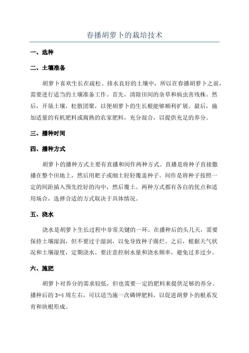 春播胡萝卜的栽培技术