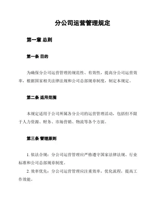 分公司运营管理规定