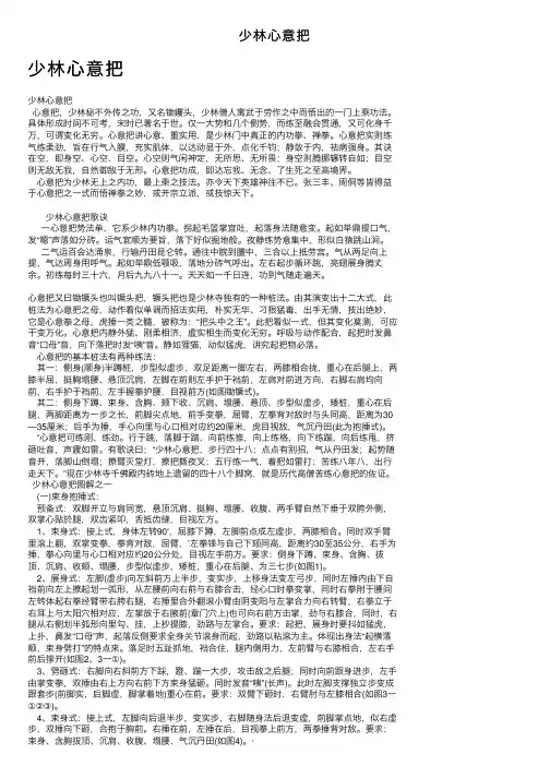 少林心意把——精选推荐
