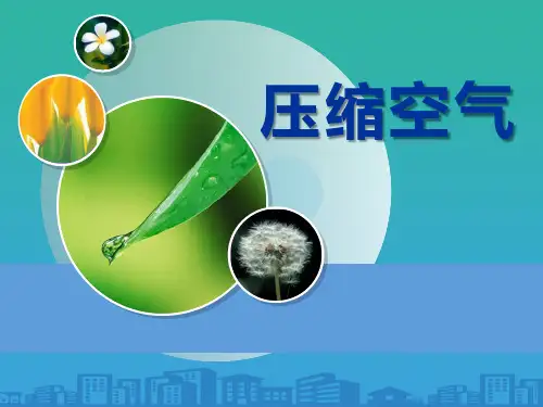 《压缩空气》空气PPT课件