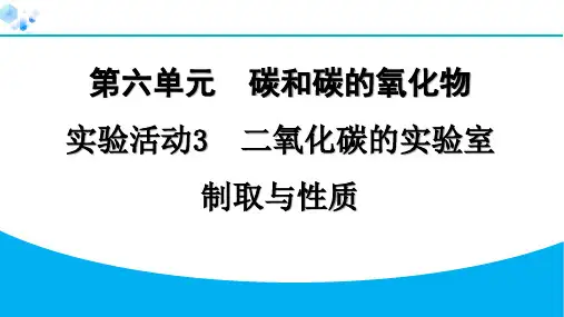 实验活动3 二氧化碳的实验室制取与性质【习题课件】九年级上册化学