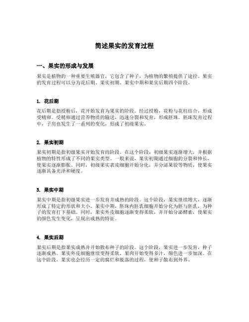 简述果实的发育过程