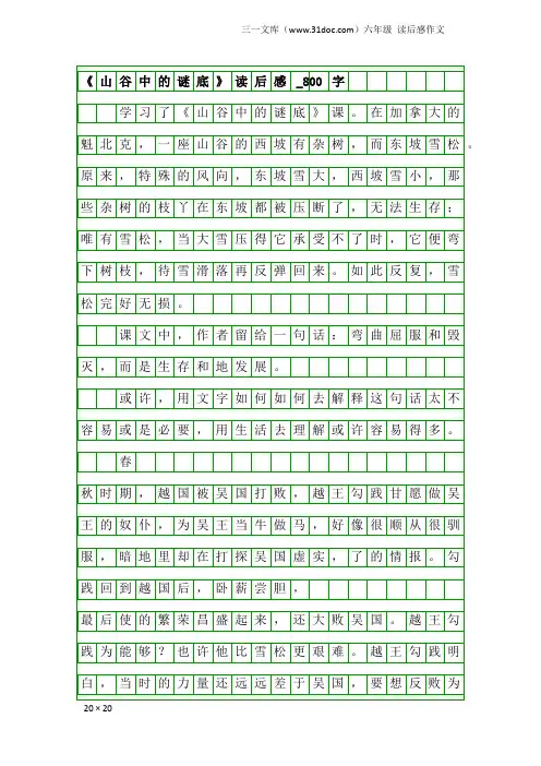 六年级读后感作文：《山谷中的谜底》读后感_800字