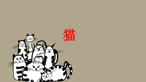 13《猫》课件(共15张PPT)