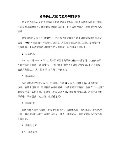 猪场伪狂犬病与蓝耳病的诊治