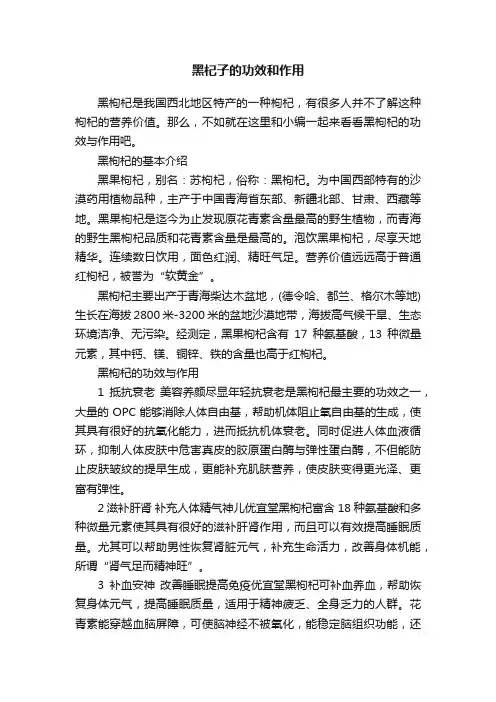 黑杞子的功效和作用