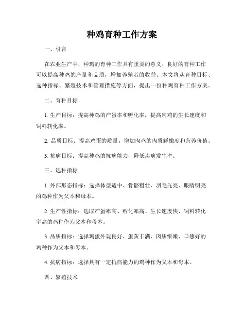 种鸡育种工作方案