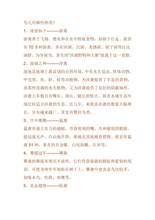 鸟类知识